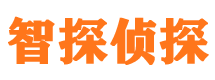 隆安市婚外情调查